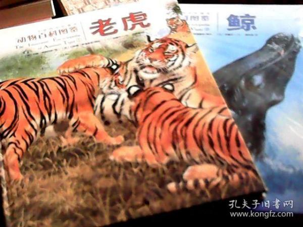 【动物百科图鉴】老虎、狮子、猎豹、北极熊、熊猫、非洲象、黑猩猩、海豚、鲸（全十10册）（铜版彩印，16开）