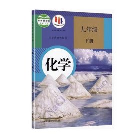 化学九年级下册课程教材研究所人民教育出版社