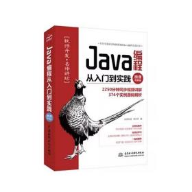 Java编程从入门到实践（微课视频版）