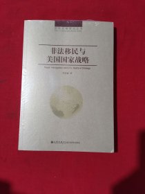 国际战略研究丛书：非法移民与美国国家战略