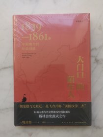 大门口的陌生人：1839—1861年中国南方的社会动乱