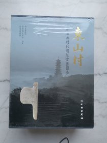 东山村新石器时代遗址发掘报告