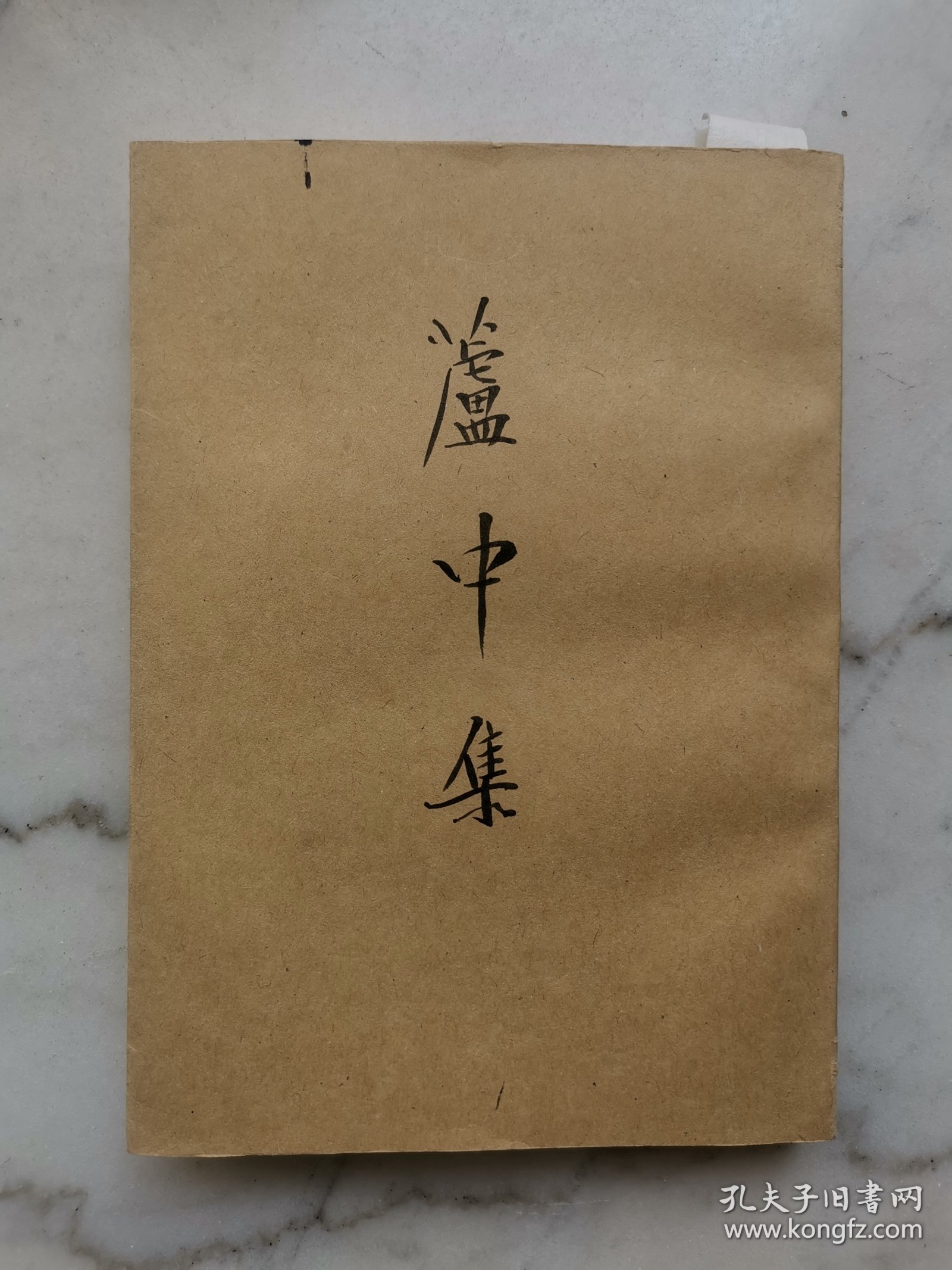 清人别集丛刊：芦中集