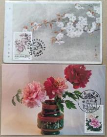 J152一牡丹.樱花极限片(二全)