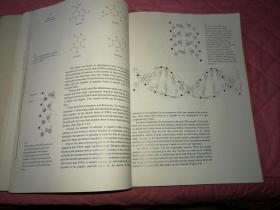 HUMAN GENETICS，人类遗传学