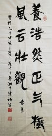 著名古文字学家、广东文史馆馆员陈初生先生精彩书法条幅《养浩然正气 极风云壮观》