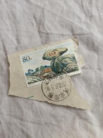 邮票  1999-6  6-4T