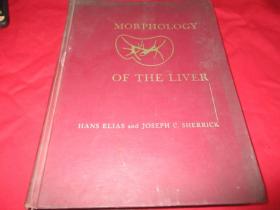 MORPHOLOGY   OF    THE   LIVER《看照片》可能医学论文书1969年版