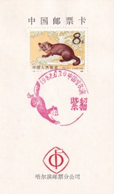 1981年哈尔滨邮票分公司,T68(2-1)紫貂邮票首日发行纪念邮戳卡,8分-1