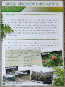 2012年云南绿色环境发展基金会,澜沧江--湄公河生物多样性保护行动,宣传海报5