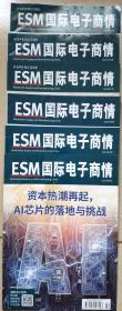 ESM国际电子商情 2021年(6本)