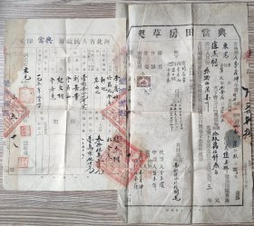 新中国地契房照类----1953年河北省东光县人民政府"田地典当印契+典当田地草契"(税票1张)1335