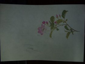 现代手工制作工艺，花简一张001