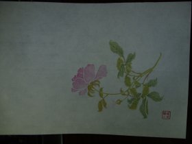 雅纸，手工笺稿一种。存放号1210.