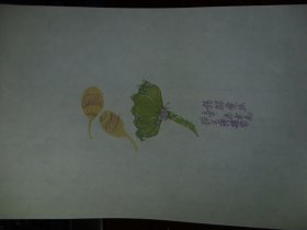 雅笺纸，手工制作笺稿一种。存放号1210.