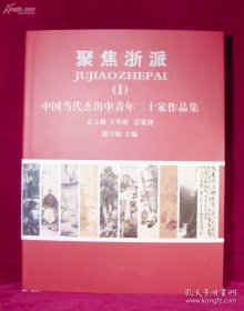 中国美院20家教授作品集。聚焦浙派。每幅经典。美妙绝伦。具有深远影响力。可以用作教材。