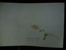 现代手工制作工艺，花简一张