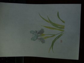 花笺一张，张氏稿本。存放21箱