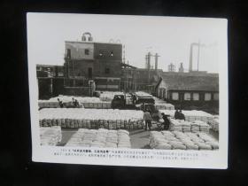 七十年代，安徽省当涂县化肥厂工人在装运化肥。尺寸：20.5厘米*15.5厘米