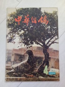 中华信鸽1993年8月第4期总第34期