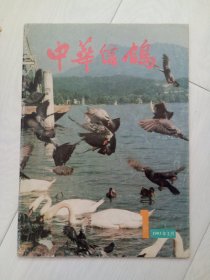 中华信鸽1993年2月第1期总第31期