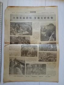 红色社员报 1974年12月31日