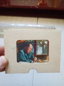 七十年代 毛主席 彩色幻灯片