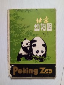 北京动物园 明信片