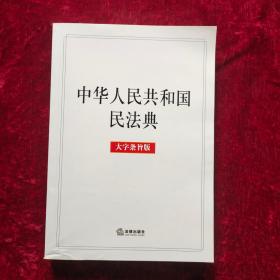 中华人民共和国民法典 大字条旨版