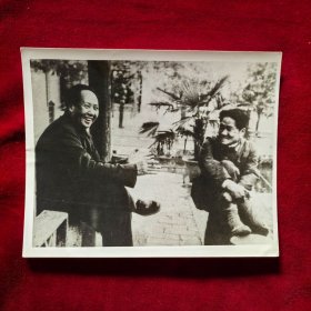 老照片：1949年毛泽东同毛岸英在香山（出书用图样照片）