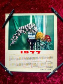 1977年年历（菊花）