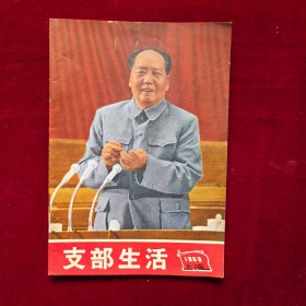 支部生活1969年第25期（封面：毛主席像，封底宣传画，漂亮！）内容：九大报告等