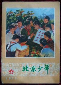 北京少年1973.3（封面：雷锋）