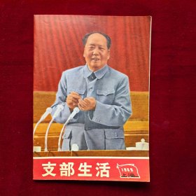 支部生活1969年第25期（封面：毛主席像，封底宣传画，漂亮！）内容：九大报告等