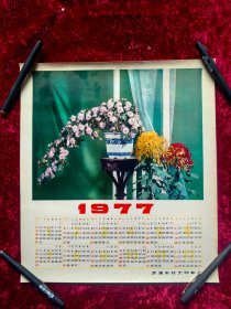 1977年年历（菊花）