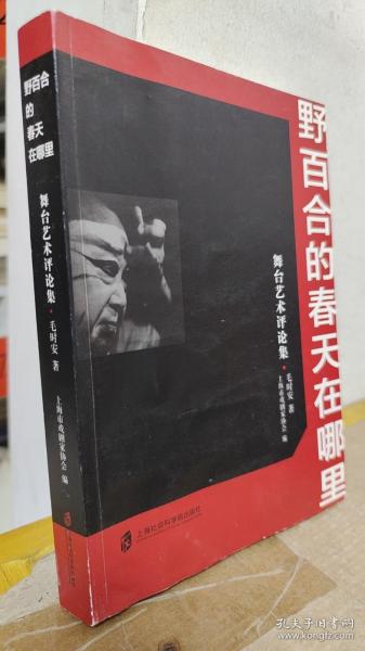 野百合的春天在哪里——舞台艺术评论集