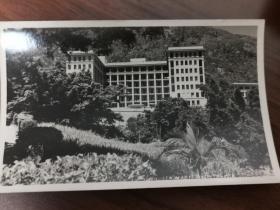 五十年代香港大学医学院玛丽医院教学楼明信片老照片一张