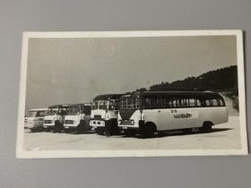 五十年代香港大屿山旅游巴士车队老照片