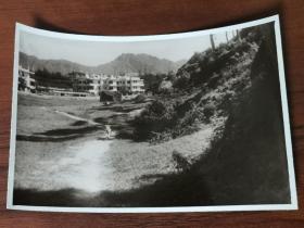 民国时期香港九龙启德住宅区远望狮子山老照片