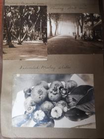 民国时期东南亚马来西亚槟城和斯里兰卡老照片及明信片一组共二十九张