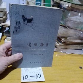远离尘嚣