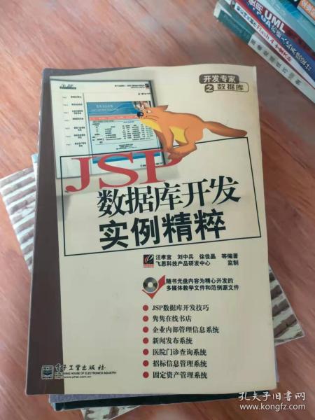 开发专家之数据库：JSP数据库开发实例精粹