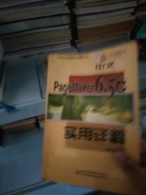 中文PageMaker 6.5C实用详解