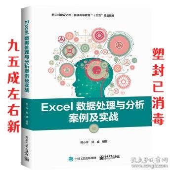 Excel数据处理与分析案例及实战