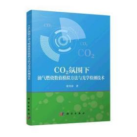 CO2氛围下油气燃烧数值模拟方法与光学检测技术