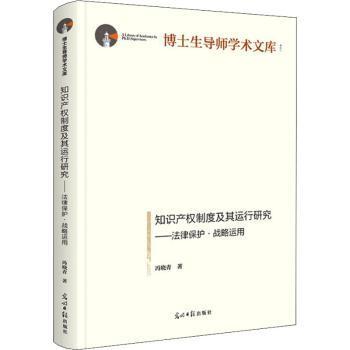 知识产权制度及其运行研究：法律保护·战略运用