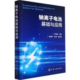 全新正版图书 钠离子电池基础与应用伊廷锋化学工业出版社9787122436061