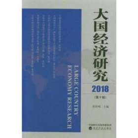 大国经济研究（2018年第10辑）