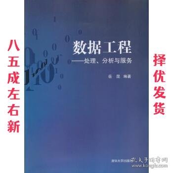 数据工程：处理、分析与服务