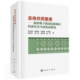 走向共同繁荣——新形势下推动民族地区经济社会全面发展研究